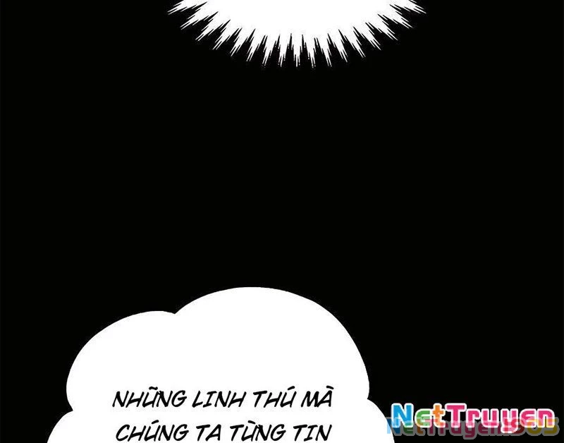 Tôi May Mắn Triệu Hồi Được Tinh Linh Hộ Vệ Hạng 10 Chapter 13 - 151