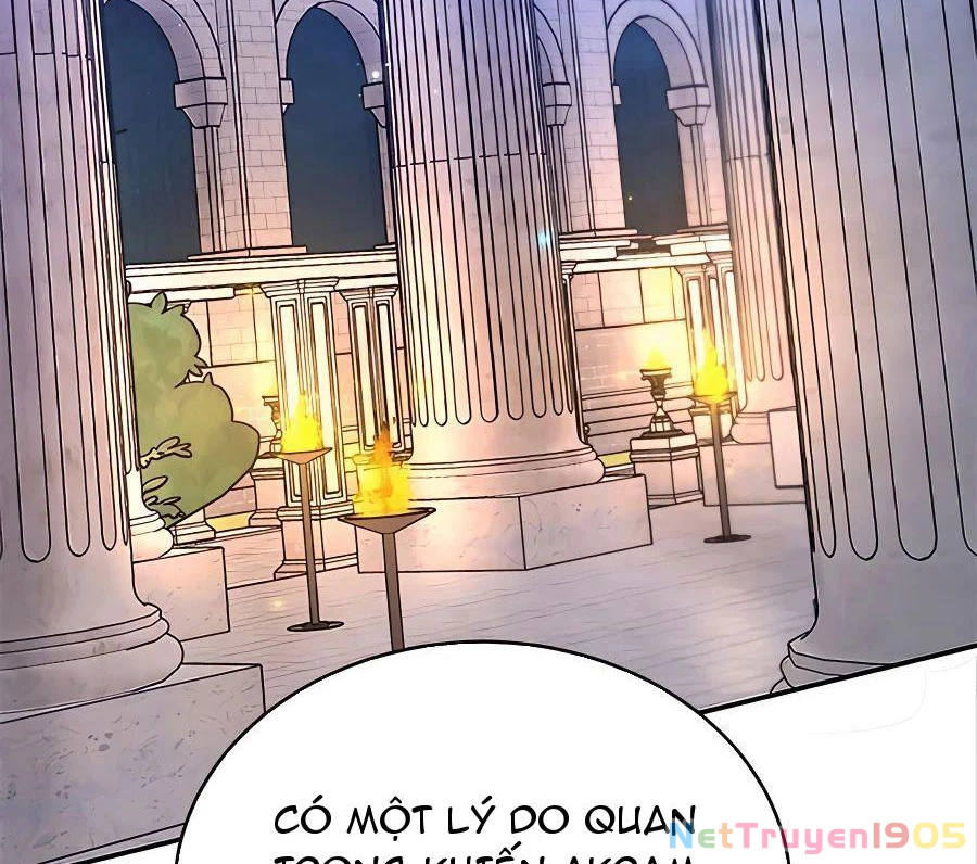 Tôi May Mắn Triệu Hồi Được Tinh Linh Hộ Vệ Hạng 10 Chapter 13 - 184