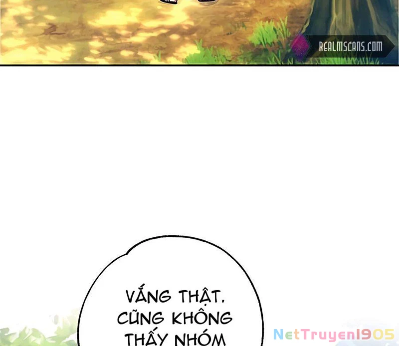 Tôi May Mắn Triệu Hồi Được Tinh Linh Hộ Vệ Hạng 10 Chapter 14 - 138