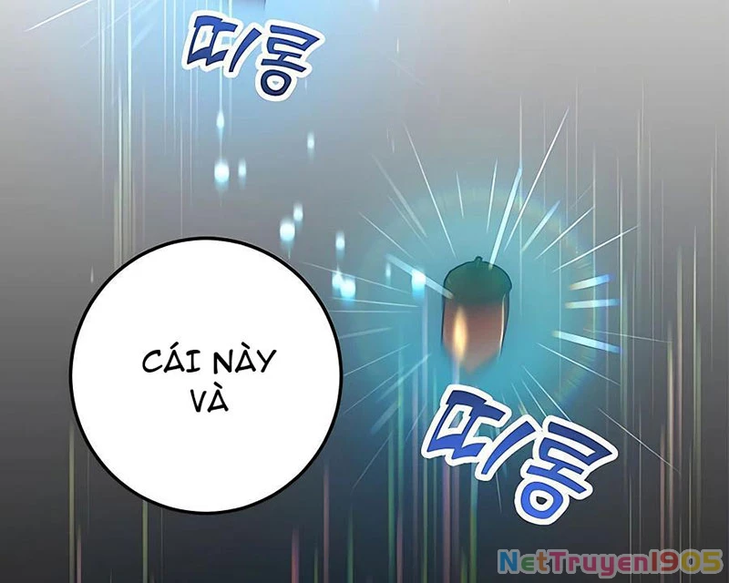 Tôi May Mắn Triệu Hồi Được Tinh Linh Hộ Vệ Hạng 10 Chapter 15 - 38