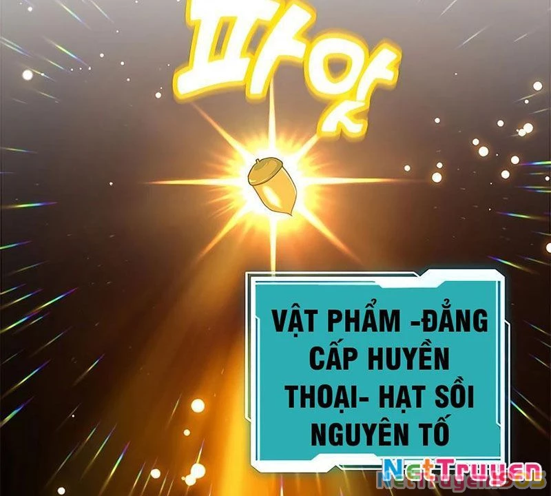 Tôi May Mắn Triệu Hồi Được Tinh Linh Hộ Vệ Hạng 10 Chapter 15 - 71