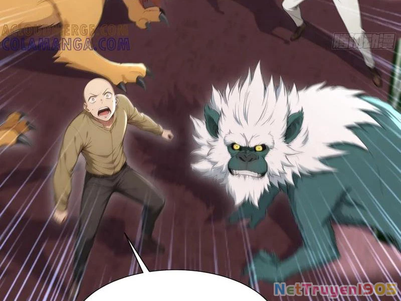 Đệ Nhất Ngự Thú Sư Chapter 81 - 25