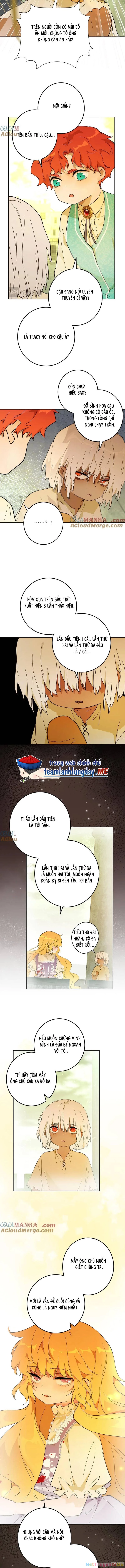 Trở Thành Nữ Hoàng Từ Khi Mới 6 Tuổi Chapter 41 - 14