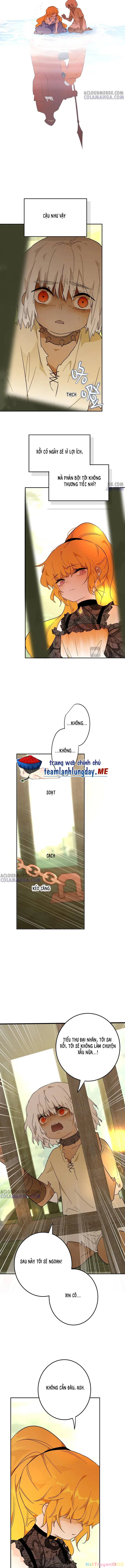 Trở Thành Nữ Hoàng Từ Khi Mới 6 Tuổi Chapter 45 - 6