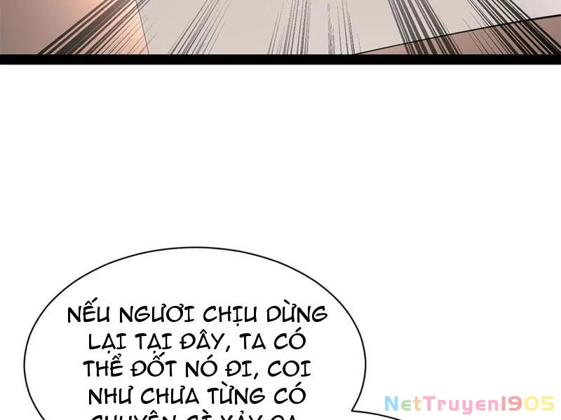 Chàng Rể Mạnh Nhất Lịch Sử Chapter 320 - 62