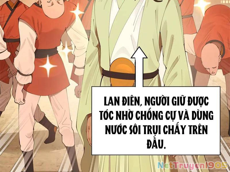 Chàng Rể Mạnh Nhất Lịch Sử Chapter 320 - 88