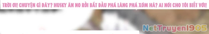 Trọng Sinh Thành Chó Của Nữ Thần Chapter 411 - 16