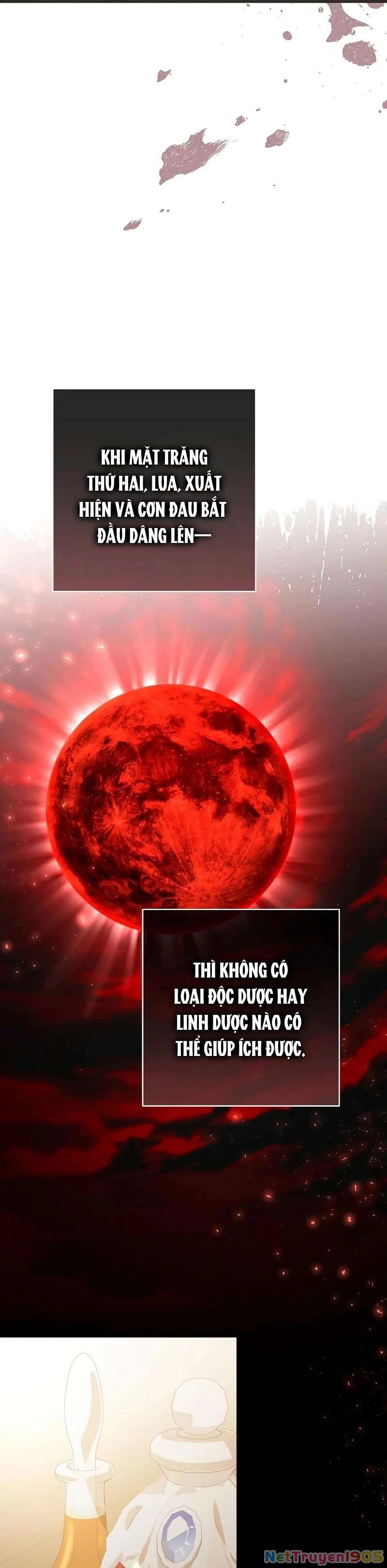 Cô Dâu Của Đại Công Tước Là Chiến Binh Địa Ngục Chapter 19 - 8