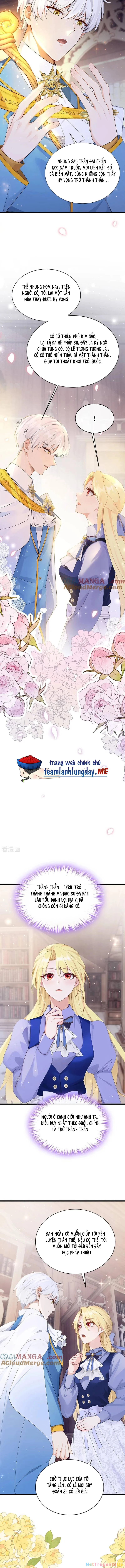 Sau Khi Nhường Lại Thiên Phú, Ta Trở Thành Bảo Bối Của Giới Pháp Thuật Chapter 27 - 4