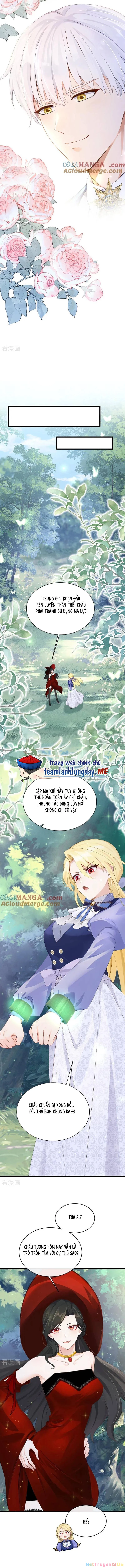 Sau Khi Nhường Lại Thiên Phú, Ta Trở Thành Bảo Bối Của Giới Pháp Thuật Chapter 28 - 2