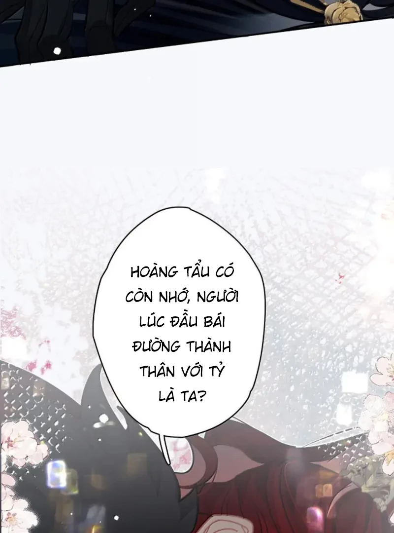 Quấn Quýt Chapter 26 - 43