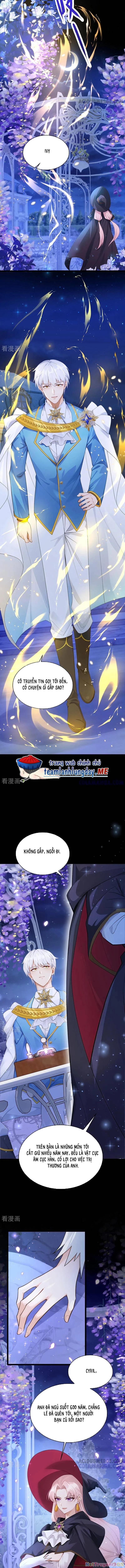 Sau Khi Nhường Lại Thiên Phú, Ta Trở Thành Bảo Bối Của Giới Pháp Thuật Chapter 29 - 8