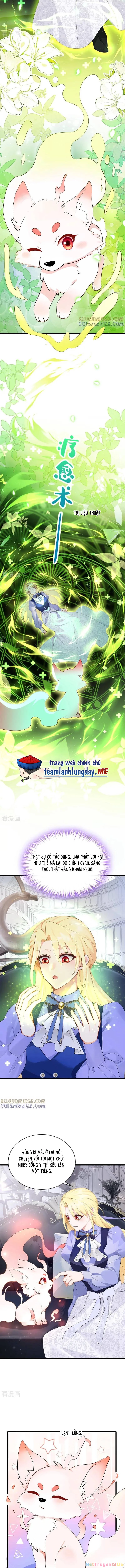 Sau Khi Nhường Lại Thiên Phú, Ta Trở Thành Bảo Bối Của Giới Pháp Thuật Chapter 34 - 6