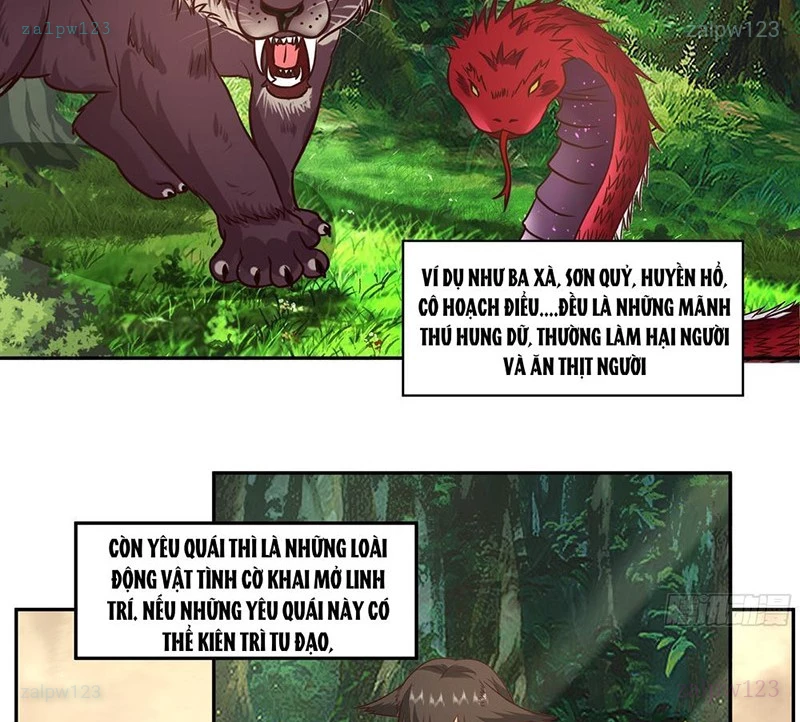 Cựu Nhật Chi Triện Chapter 8 - 15