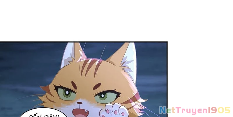 Cựu Nhật Chi Triện Chapter 8 - 28