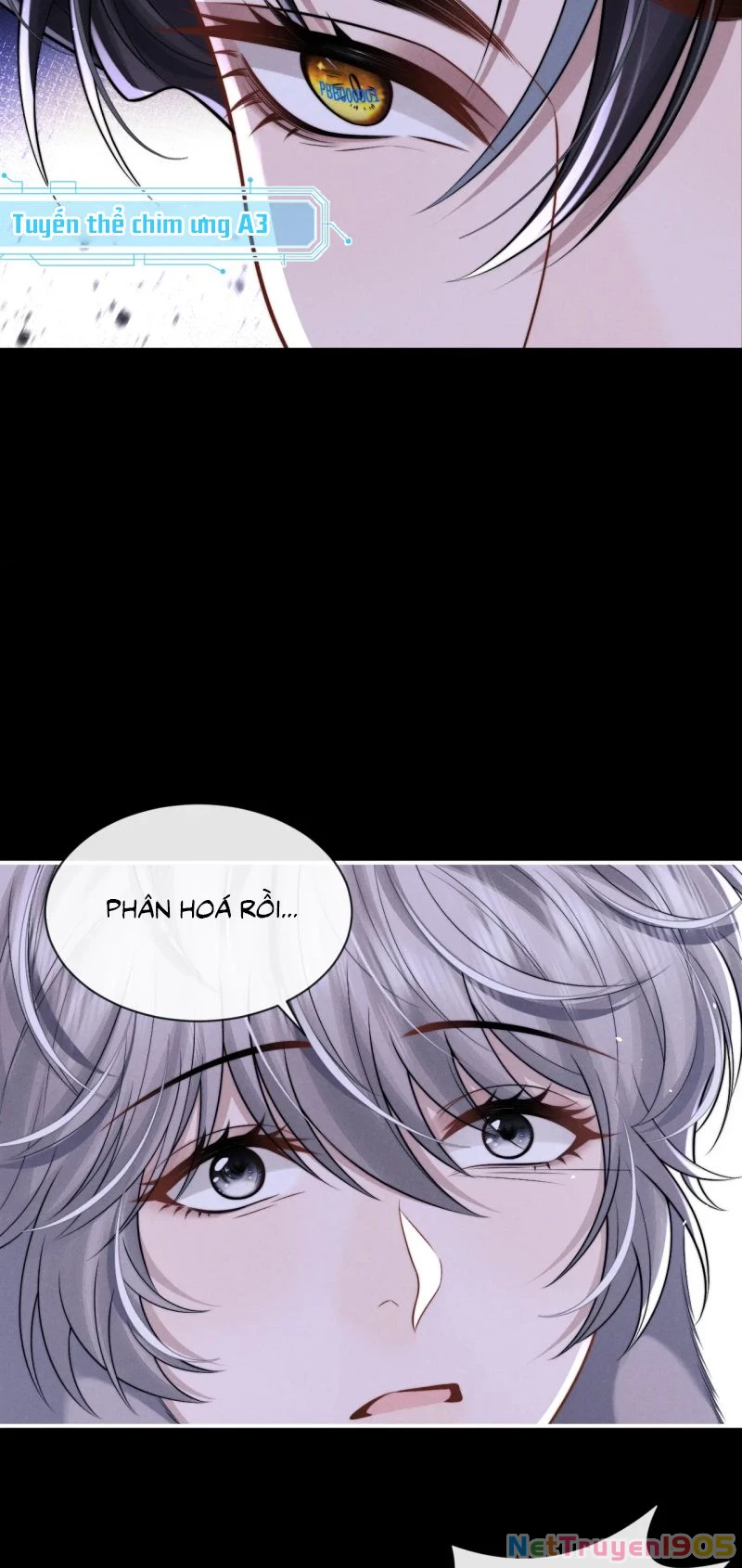 Chấp Sự Thỏ Cụp Tai Chapter 170 - 27