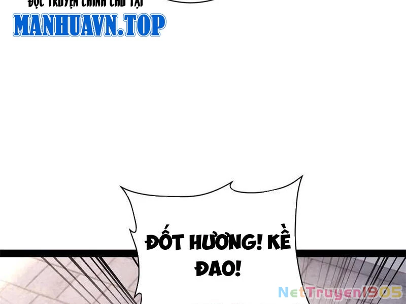 Chàng Rể Mạnh Nhất Lịch Sử Chapter 321 - 8