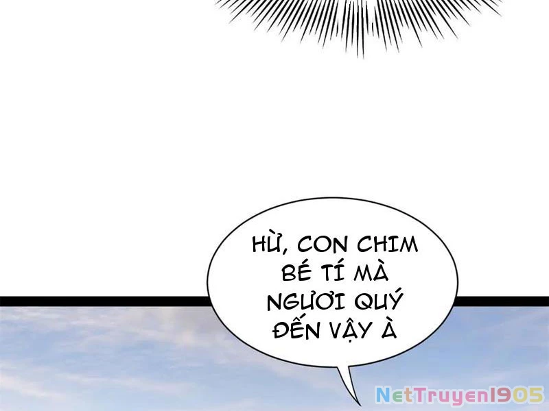 Chàng Rể Mạnh Nhất Lịch Sử Chapter 321 - 36