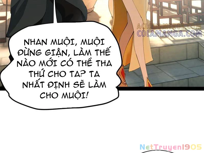 Chàng Rể Mạnh Nhất Lịch Sử Chapter 321 - 114