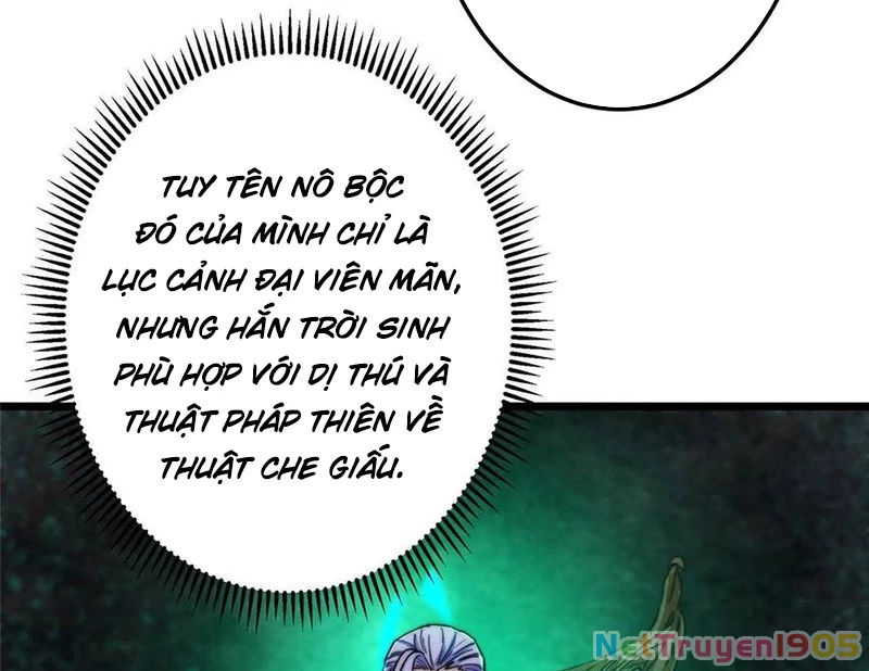 Chưởng Môn Khiêm Tốn Chút Chapter 538 - 13