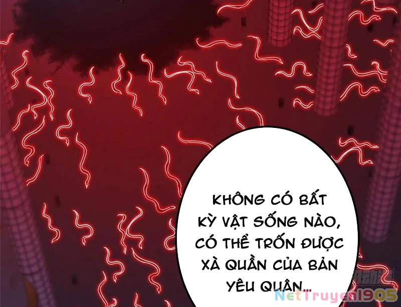 Chưởng Môn Khiêm Tốn Chút Chapter 538 - 42
