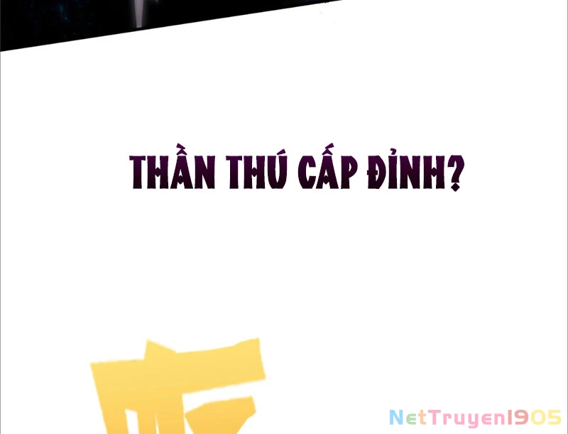 Ta Thành Vương Giả Từ Khắc Kim Chapter 0 - 67