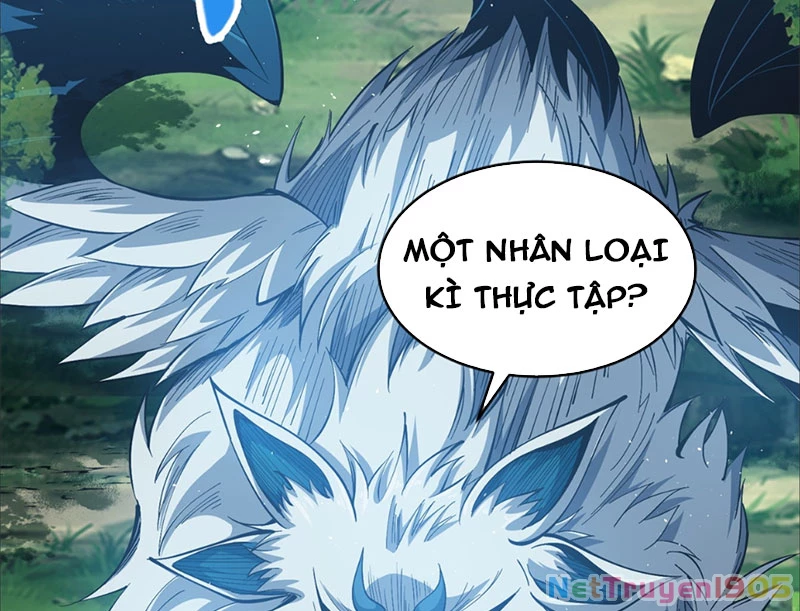 Ta Thành Vương Giả Từ Khắc Kim Chapter 0 - 70