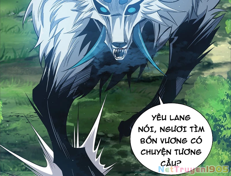 Ta Thành Vương Giả Từ Khắc Kim Chapter 0 - 71