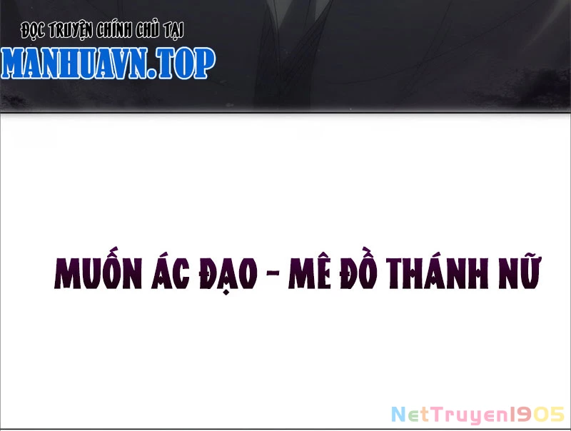 Ta Thành Vương Giả Từ Khắc Kim Chapter 0 - 95