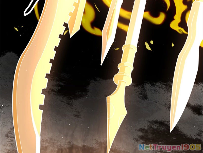 Ta Thành Vương Giả Từ Khắc Kim Chapter 0 - 113