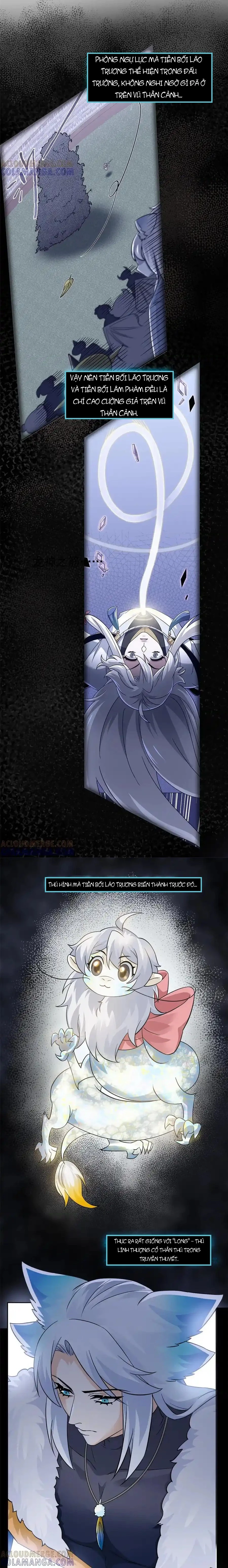 Cường Giả Đến Từ Trại Tâm Thần Chapter 357 - 5