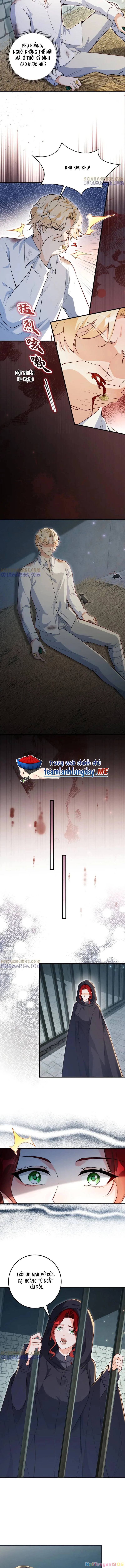 Ba Ông Anh Quyền Lực Của Tôi Chapter 32 - 8