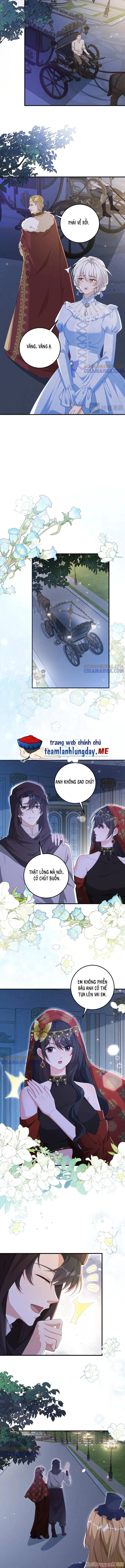 Ba Ông Anh Quyền Lực Của Tôi Chapter 33 - 7