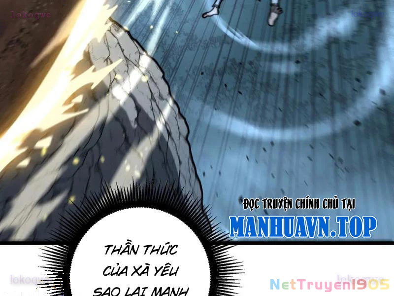 Lão xà tu tiên truyện Chapter 51 - 49