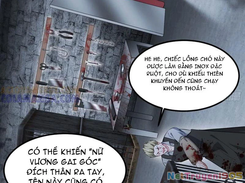 Bỏ Làm Simp Chúa, Ta Có Trong Tay Cả Tỉ Thần Hào! Chapter 228 - 17