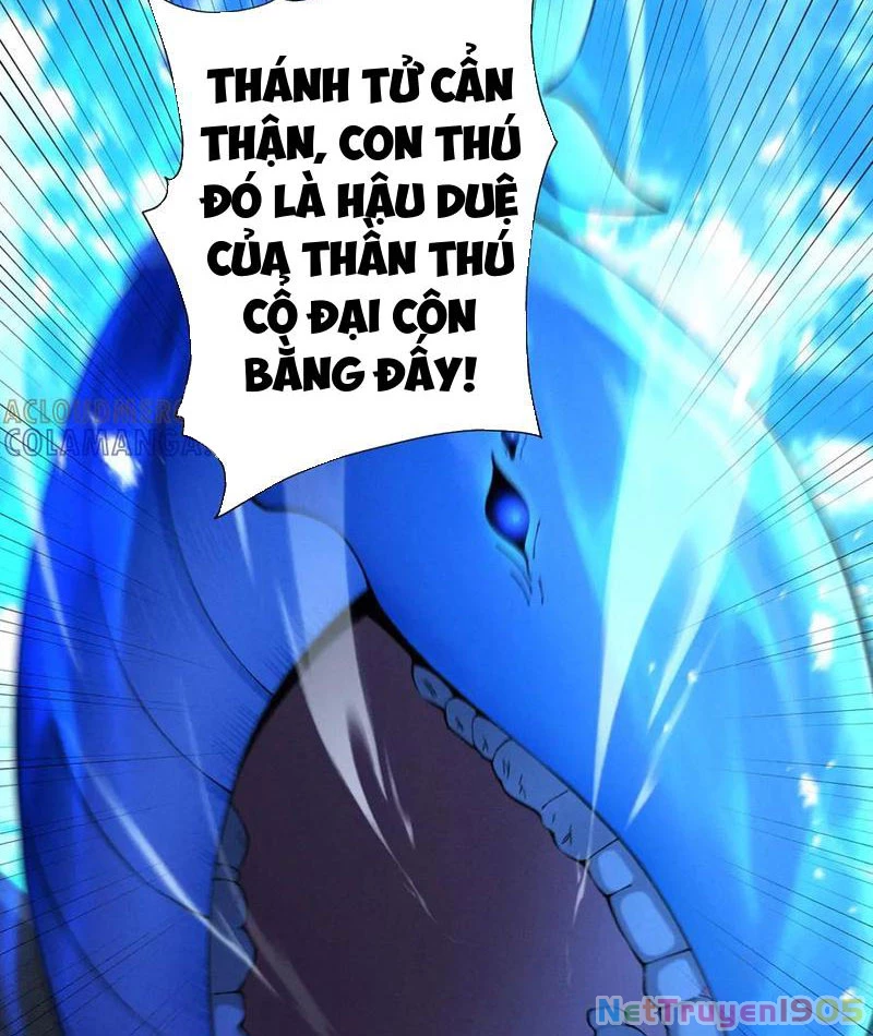 Gặp Mạnh Thì Mạnh, Ta Tu Vi Vô Thượng Hạn Chapter 67 - 73
