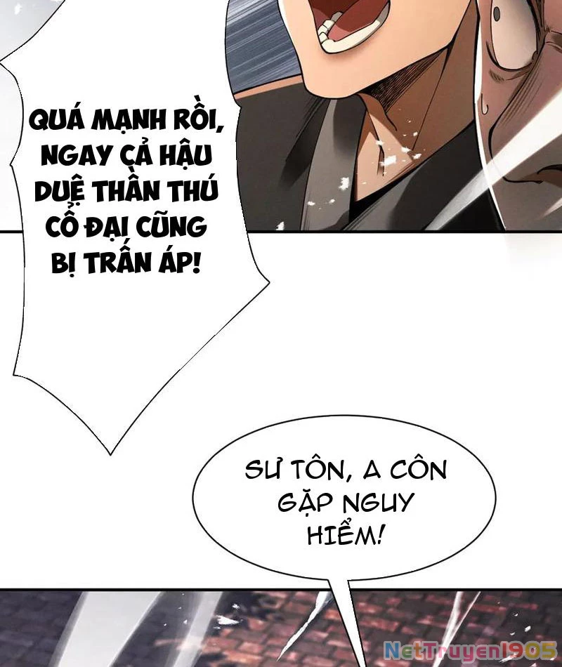 Gặp Mạnh Thì Mạnh, Ta Tu Vi Vô Thượng Hạn Chapter 67 - 89