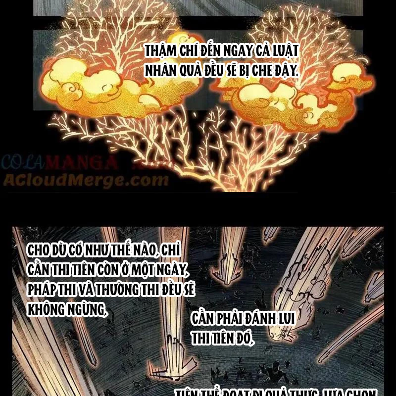 Nhật Nguyệt Đồng Thác Chapter 256 - 22