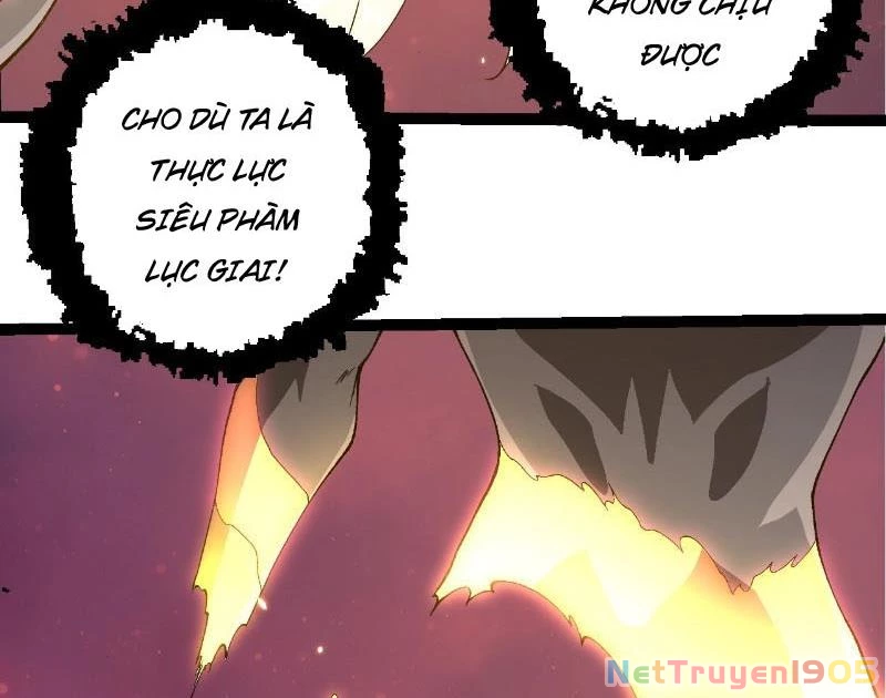 Chuyển Sinh Thành Liễu Đột Biến Chapter 413 - 22