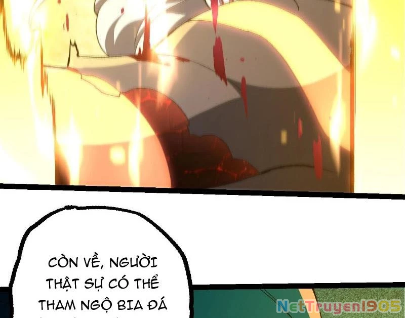 Chuyển Sinh Thành Liễu Đột Biến Chapter 413 - 43