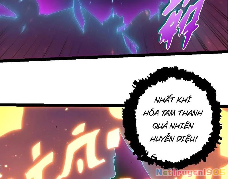 Chuyển Sinh Thành Liễu Đột Biến Chapter 413 - 53