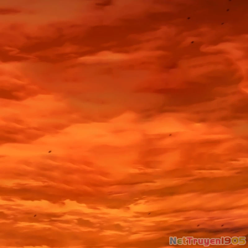 Wild Ranker Chapter 16 - 95