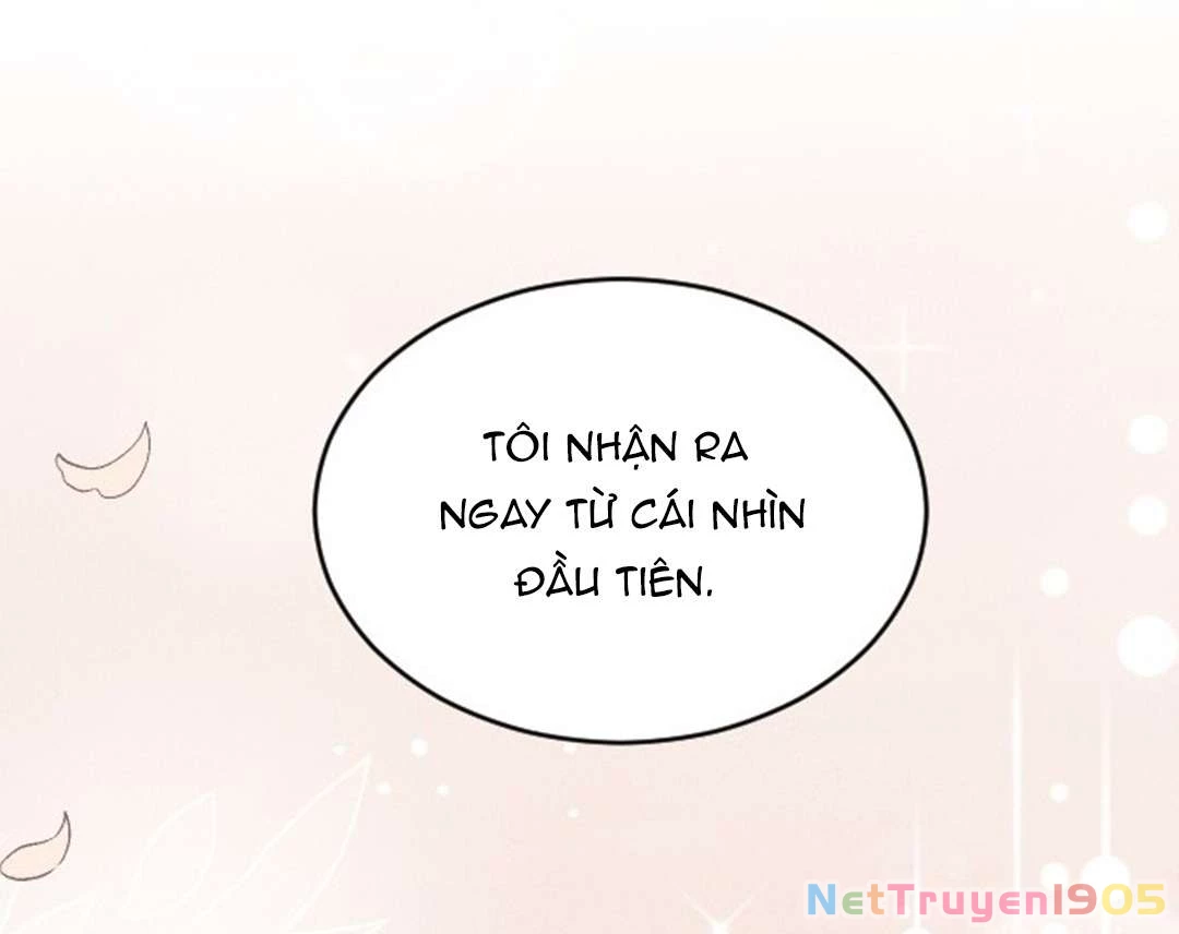 Ba Người Anh Trai Cực Phẩm Của Tôi Chapter 75 - 23