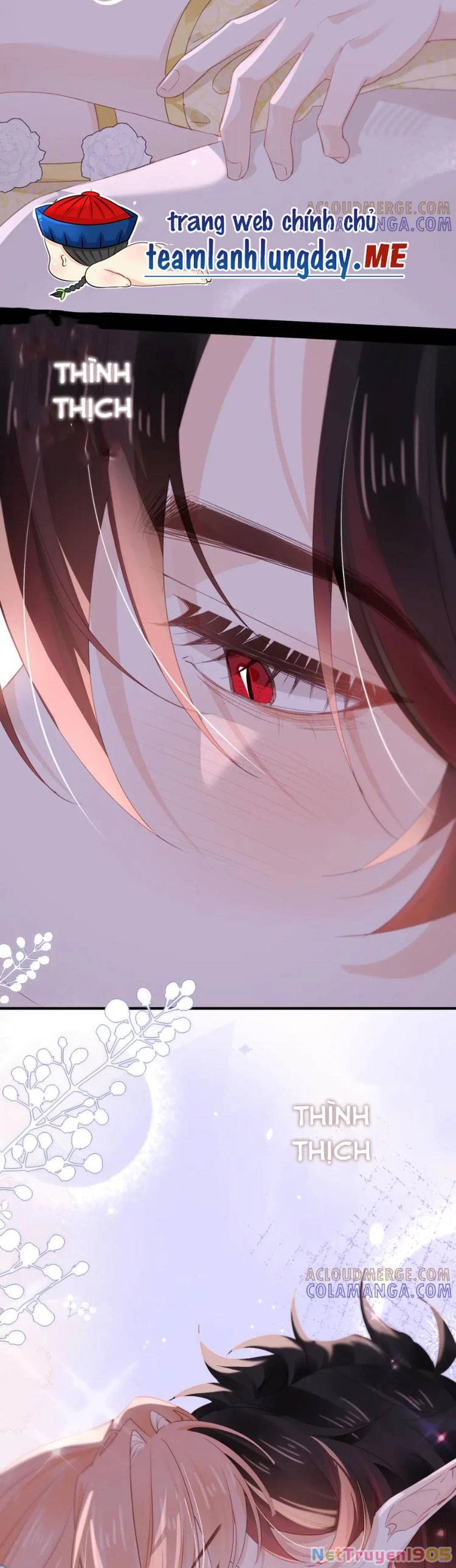 Cạm Bẫy Của Hắn Chapter 27 - 3