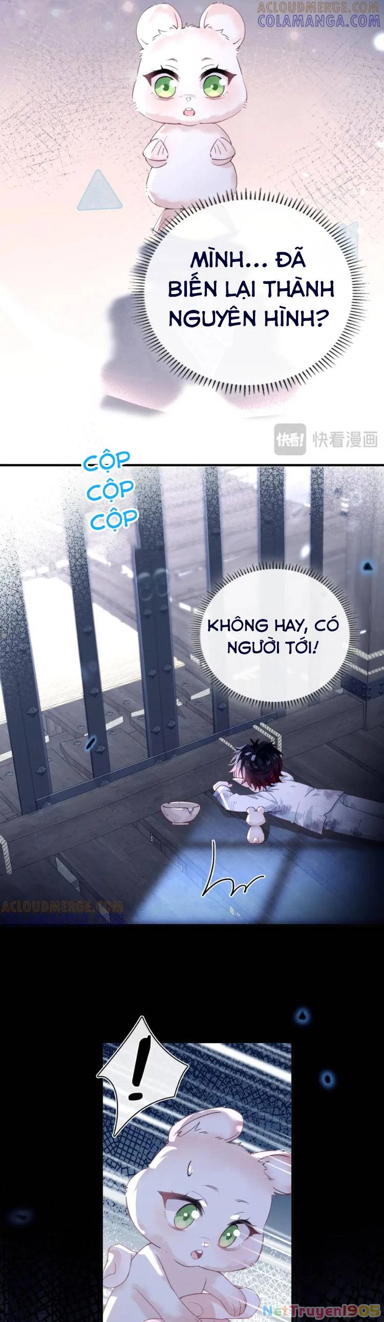 Cạm Bẫy Của Hắn Chapter 27 - 7
