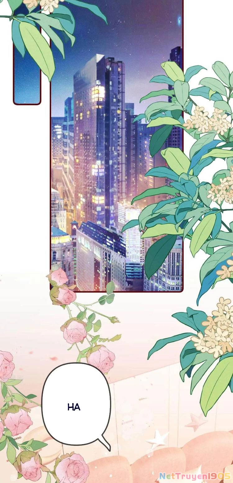 Nụ Hôn Vượt Ranh Giới Chapter 24 - 15
