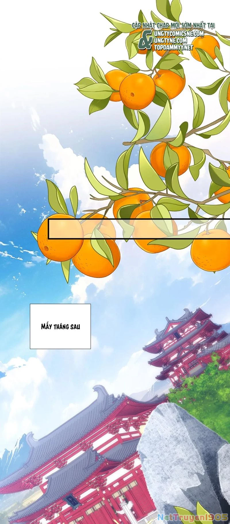 Hắc Hóa Đại Lão Thuần Dưỡng Chỉ Nam Chapter 194 - 17