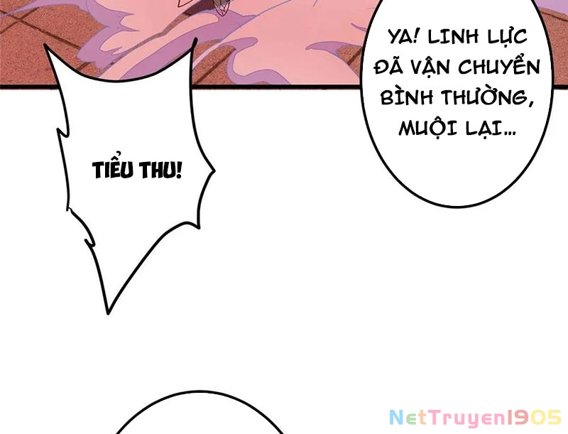 Chưởng Môn Khiêm Tốn Chút Chapter 540 - 12