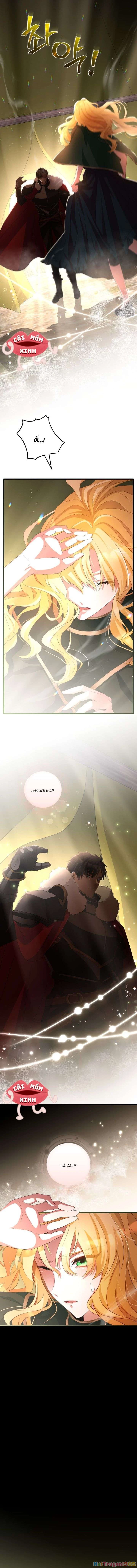 Lời Cầu Hôn Hoang Dã Chapter 1 - 15