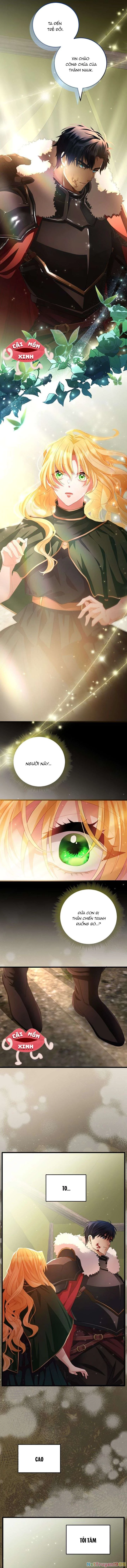Lời Cầu Hôn Hoang Dã Chapter 1 - 16